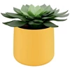 Kép 2/3 - Kaspó, kerámia, kerek, 13 cm, LEITZ, "Cosy", melegsárga
