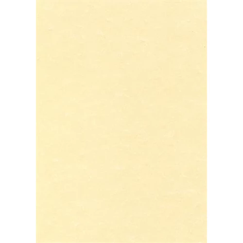 Előnyomott papír, A4, 95 g, pergamen hatású, APLI, pezsgő
